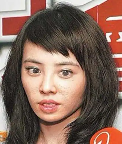 史上最毒舌化妆师评女星素颜:范冰冰素颜两眼无光(组图)