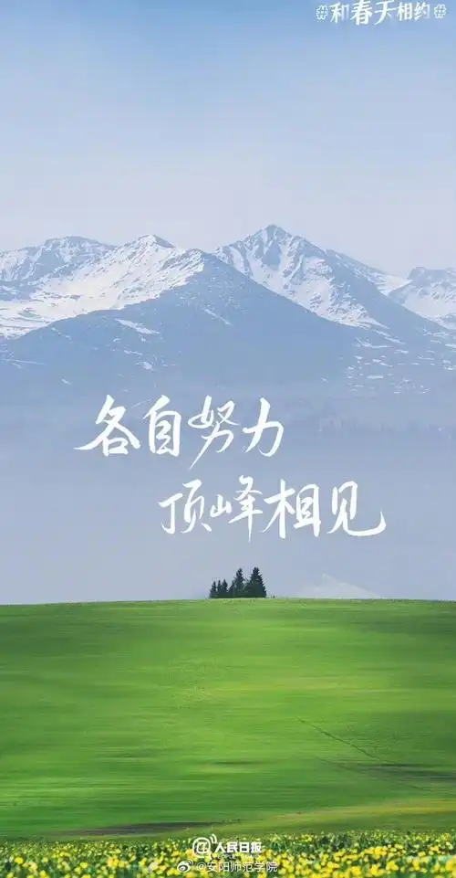 壁纸 草原 桌面 690_1326 竖版 竖屏 手机