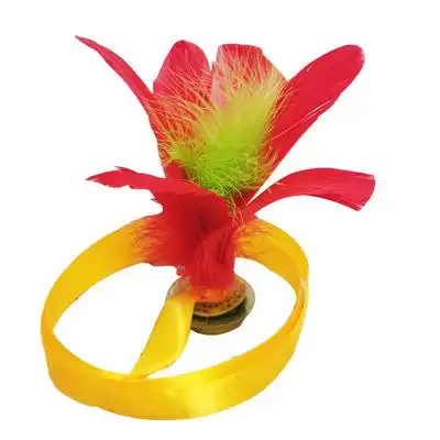 儿童小学生幼儿园初学带绳运动比赛专用耐踢鸡毛毽子