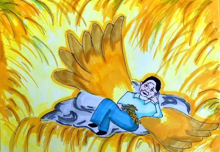 袁隆平爷爷在观察水稻的生长变化.