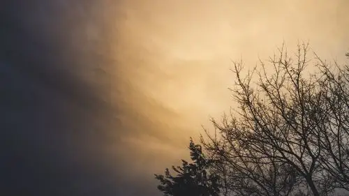 天空户外颜色黄昏剪影树木傍晚轮廓室外背光