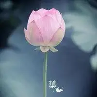 佛教禅意唯美意境图片 很有禅意的佛教图片_微信头像图片大全