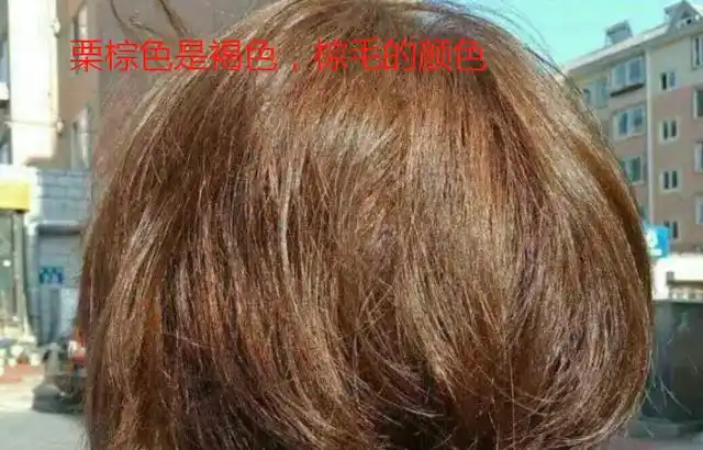 栗棕色和板栗色有什么区别