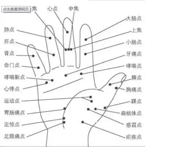 量指算命多神奇十根手指看命运
