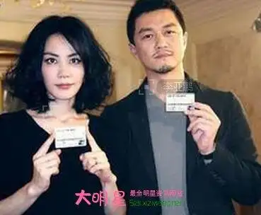 王菲历任老公资料介绍