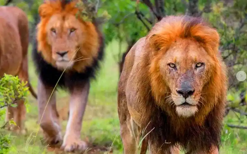 第二集:坏男孩联盟—恶魔与战神