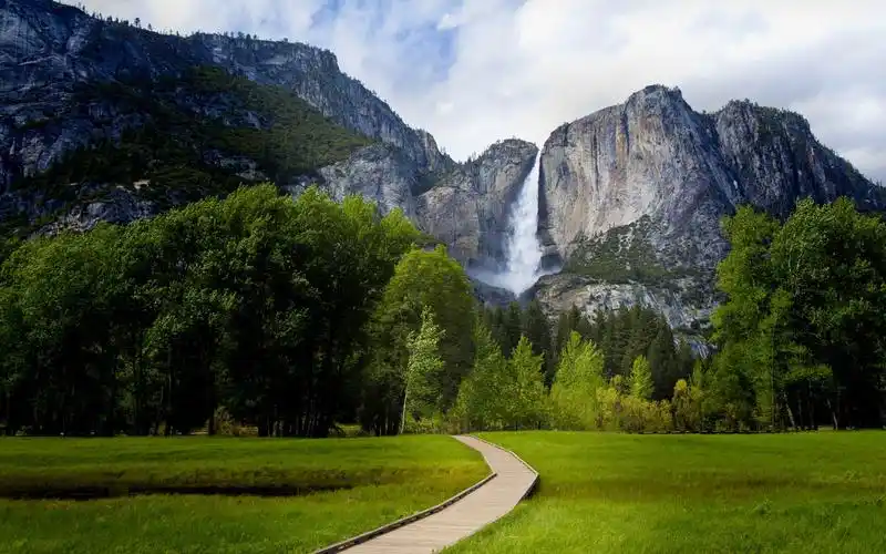 有没有类似这种的绿色系壁纸? - 知乎