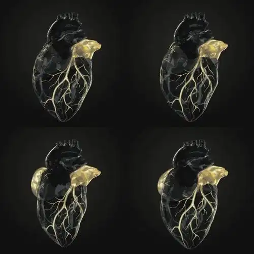 黑色心脏心脏跳动心动心跳声人体视频素材