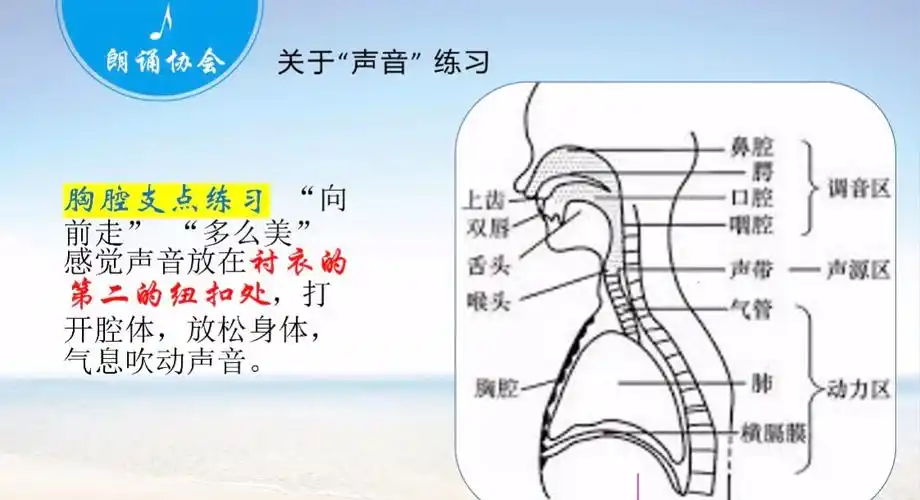 歌唱和朗诵的气息运用及发声位置