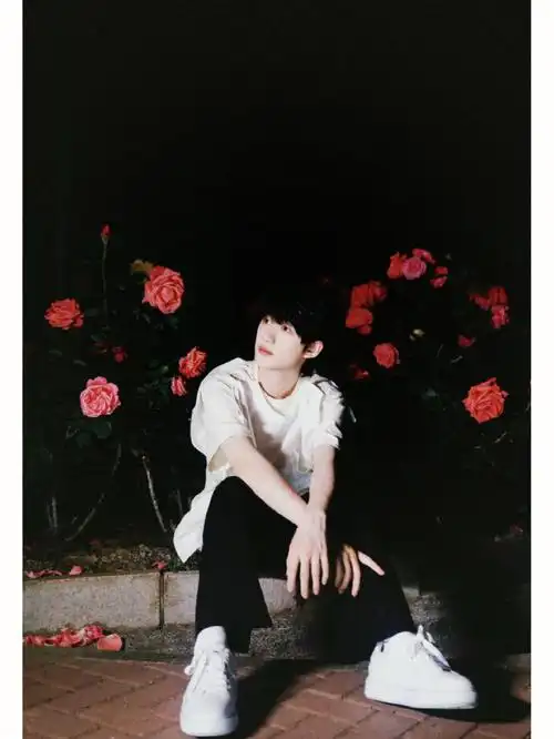 少年感 #tnt时代少年团   #丁程鑫  #花儿与少年