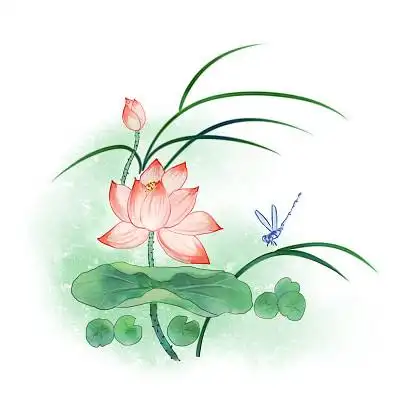 中国风手绘荷花蜻蜓