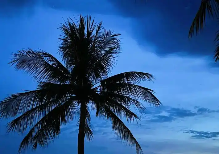 蓝色治愈系 谁能拒绝海边听一首杰伦的歌啊 - 抖音