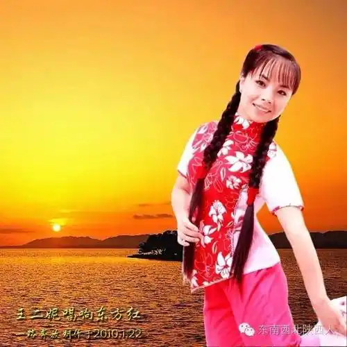 专家说北有王二妮南有刘建东都是陕北人的骄傲