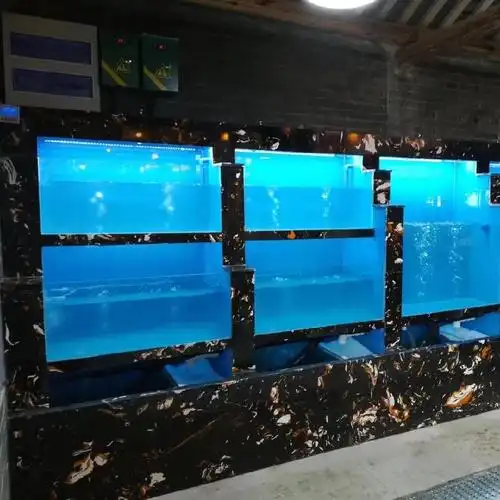 海丁堡海鲜池制作小型玻璃鱼缸出售鱼池海鲜池