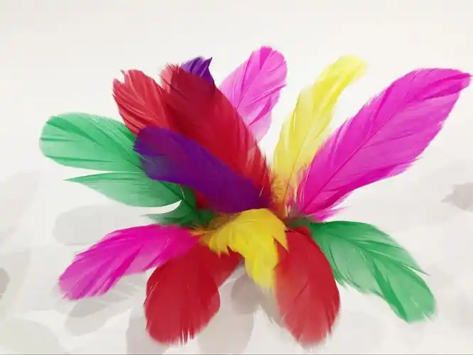 批发彩色羽毛毽子学校户外健身娱乐体育用品 比赛专用鸡毛毽子