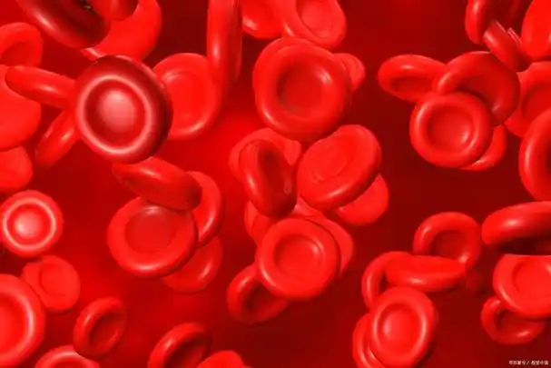 红细胞功能大揭秘:它们如何守护你的生命安全?