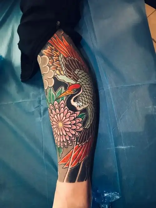 包小腿仙鹤菊花