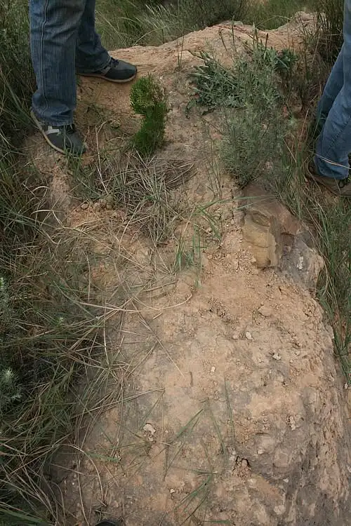 中国长城建筑与地理信息数据库 :: 圪套村北侧烽火台