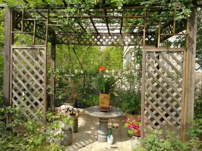 开满鲜花的小院