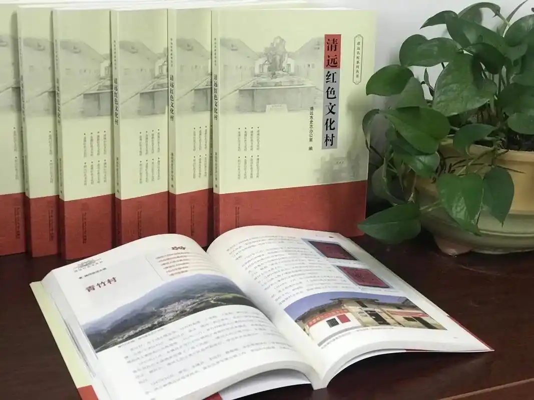 新书出版!这一年,责编的书大部分都是地方志,有《全粤村情》这 - 抖音