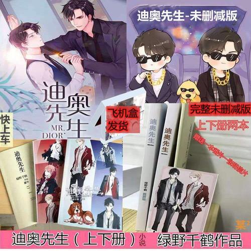 迪奥先生小说上下册送番外by绿野千鹤读默全二册飞机盒一级