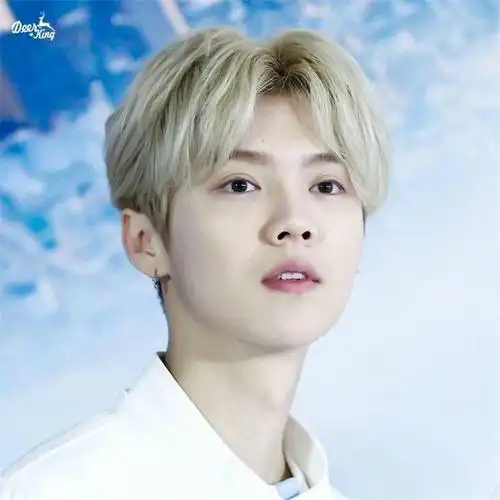 假发男中分网红