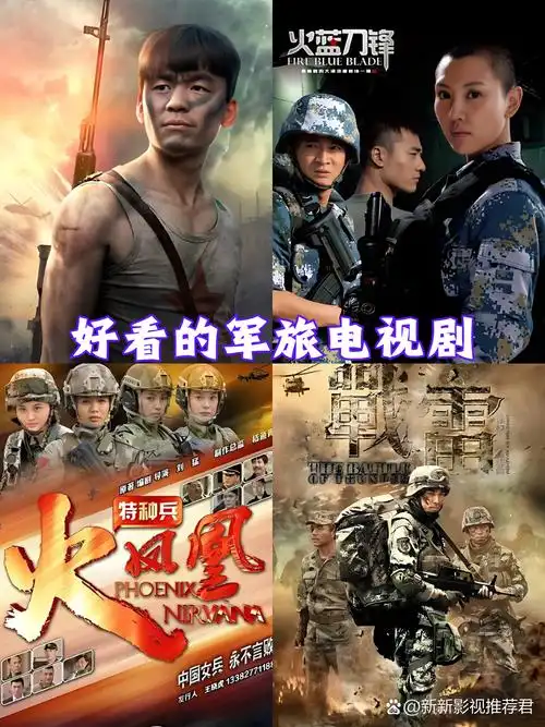 好看的军旅电视剧