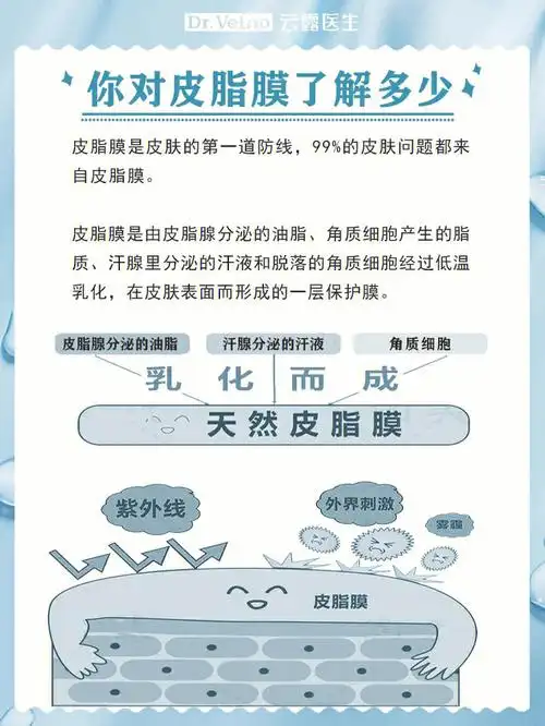 皮肤屏障知识Ι你了解皮脂膜吗