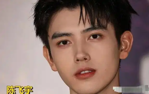 看了蒋勤勤大儿子的照片,才知道陈红改善了陈凯歌家的基因