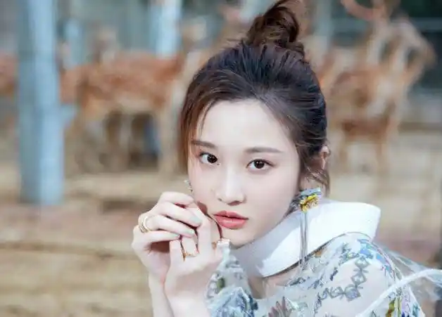 李冰冰赵丽颖"奶"新人,张慧雯和周也受力捧,二人发展未来可期_传媒