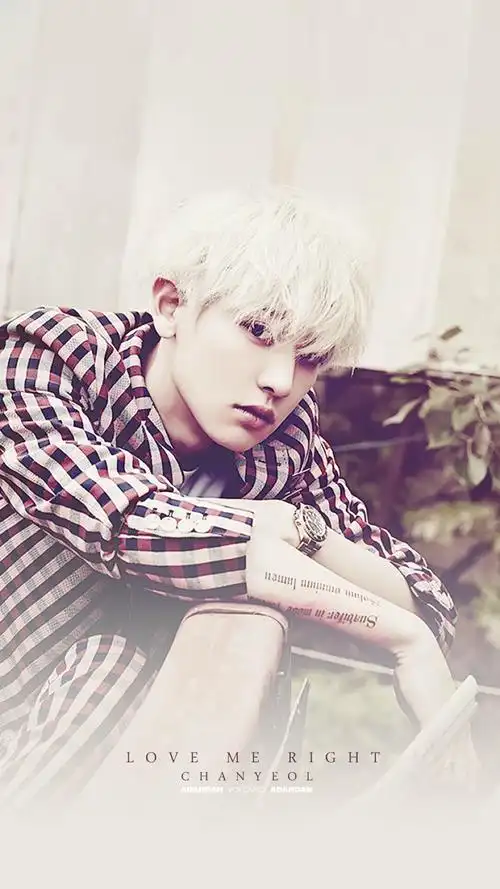 exo 朴灿烈 手机壁纸 - 堆糖,美图壁纸兴趣社区