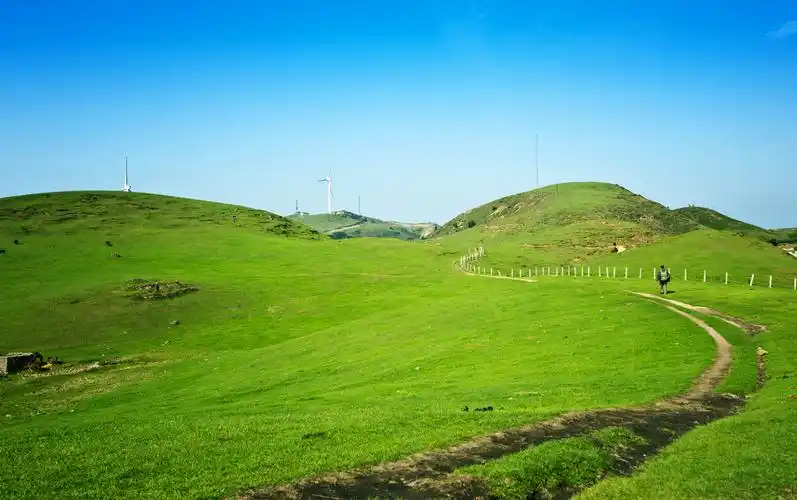 绿意夏日之高山草原