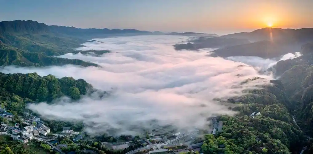 陈琼芳 刘国兴2022年4月6-7日,四川省雅安市东方碧峰峡国家级5a景区