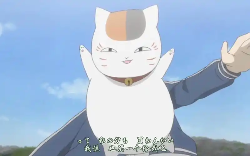 猫咪老师,好大一只