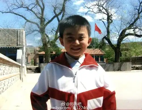 郑伟wei zheng的图片