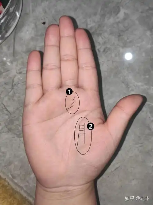 真假断掌纹手相怎么看断掌纹是指智慧线和感情线相交食指下方有井字纹