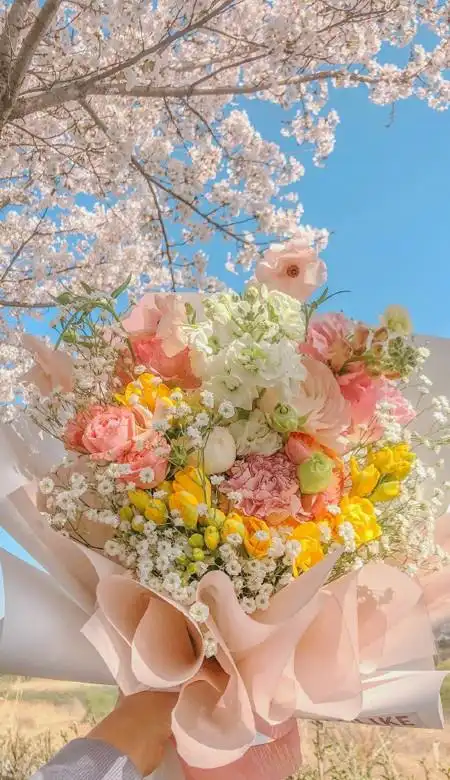 很高级的全面屏女生最爱的壁纸 高清气质满满的壁纸大全2021