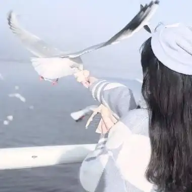 ins森系女头今日限定本人全糖去冰-女生头像 - 壁纸之家