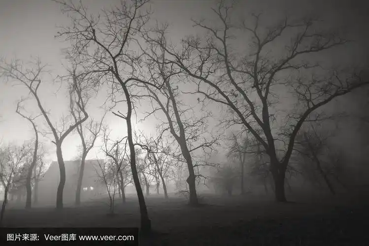 阴森森的森林和房子在冬夜