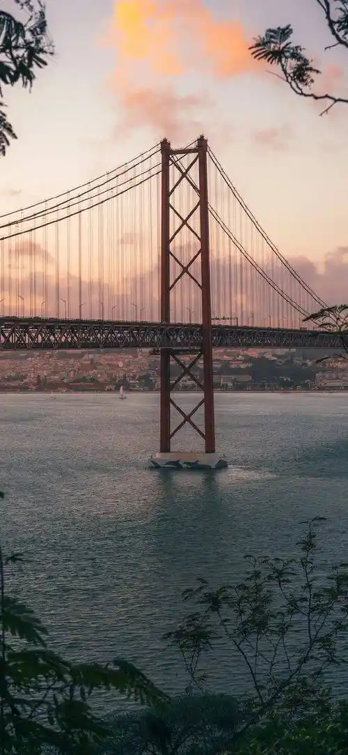 手机壁纸·4k景深全面屏