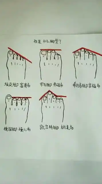 什么样的脚型对应什么样的命运,自己看看吧