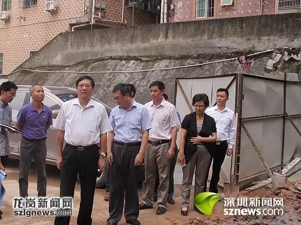 8月10日,龙岗区区长戴斌,副区长高旭敏一行首先来到坂田街道岗头雪岗