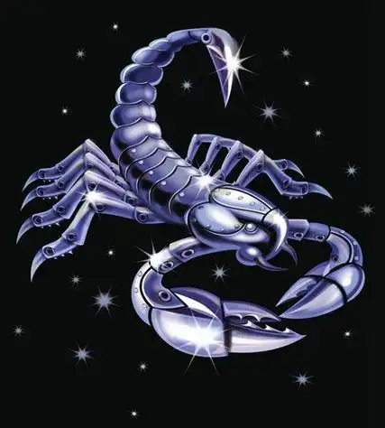 天蝎座女同胞可要认真看看啦!