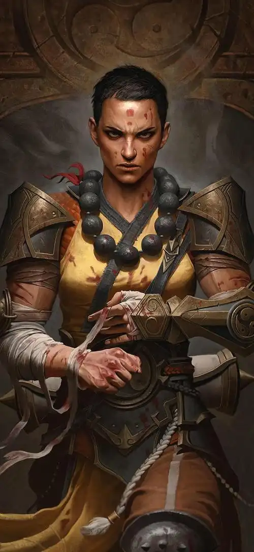 爆燃-《暗黑破坏神不朽》每个职业壁纸