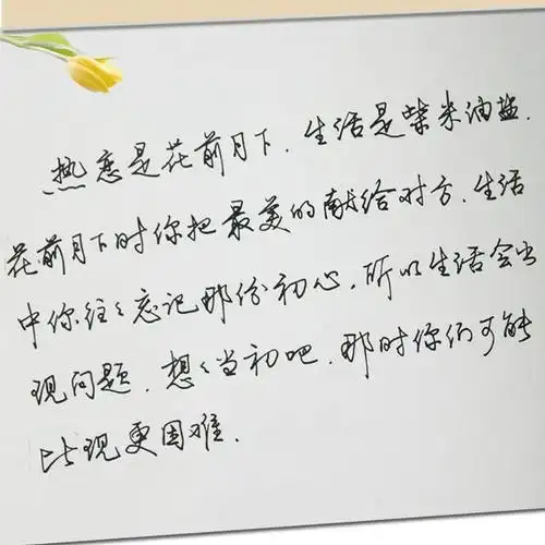 手写体行书练字帖