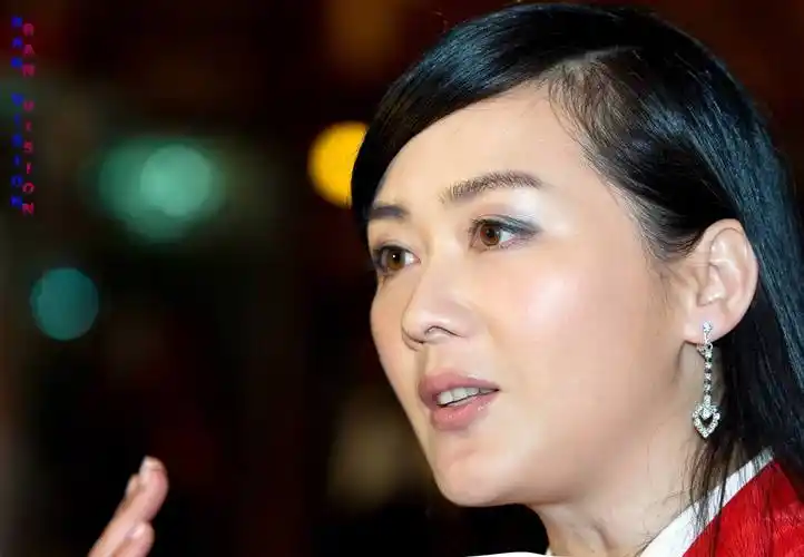 李大双老婆李琳个人资料("视后"李琳,一婚嫁名导,二婚嫁体操冠军李大