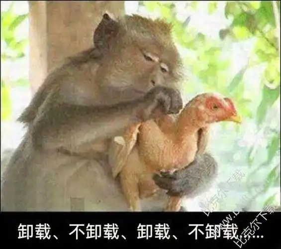 猴子拔鸡毛系列表情 9枚高清版 最新版