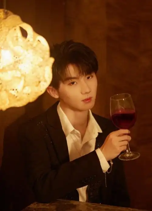 王俊凯凯皇追妻