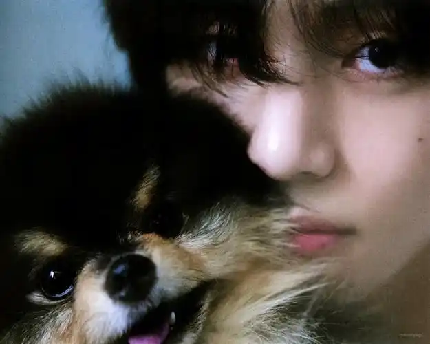 金泰亨##金泰亨专辑