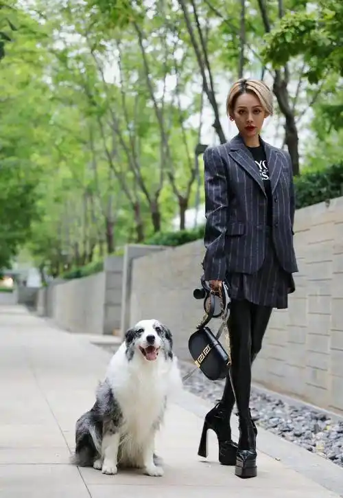 宁静穿十厘米恨天高遛宠物,随手拿2万包包,回应太瘦要增肥?